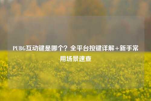 PUBG互动键是哪个？全平台按键详解+新手常用场景速查