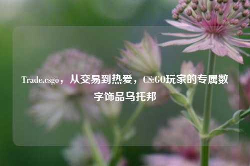 Trade.csgo,从交易到热爱,CS:GO玩家的专属数字饰品乌托邦