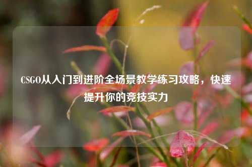 CSGO从入门到进阶全场景教学练习攻略,快速提升你的竞技实力