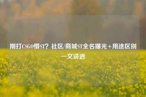 刚打CSGO懵ST?社区/商城ST全名曝光+用途区别一文讲透