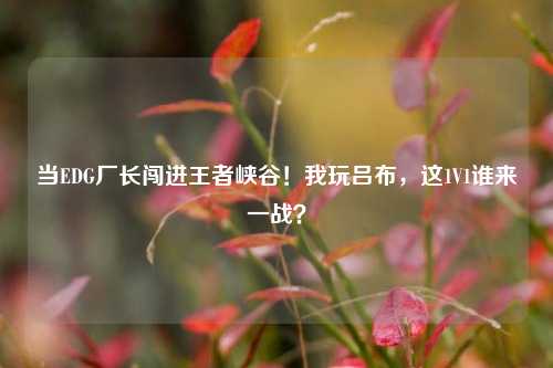 当EDG厂长闯进王者峡谷!我玩吕布,这1V1谁来一战?