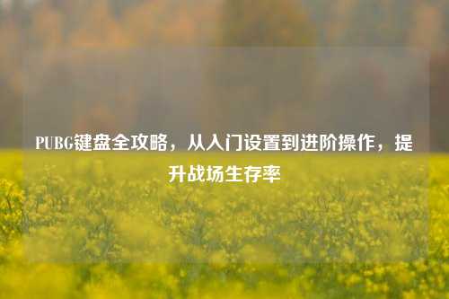 PUBG键盘全攻略,从入门设置到进阶操作,提升战场生存率