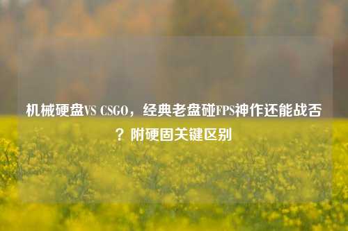 机械硬盘VS CSGO,经典老盘碰FPS神作还能战否?附硬固关键区别