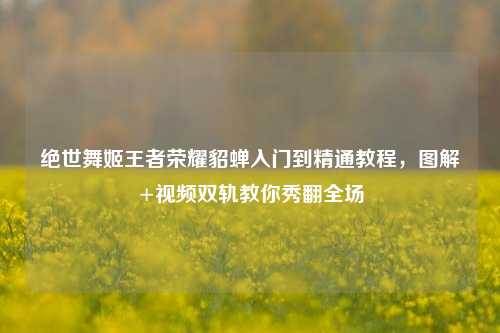 绝世舞姬王者荣耀貂蝉入门到精通教程,图解+视频双轨教你秀翻全场