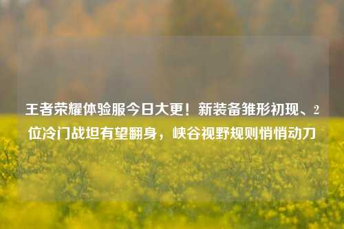 王者荣耀体验服今日大更!新装备雏形初现、2位冷门战坦有望翻身,峡谷视野规则悄悄动刀