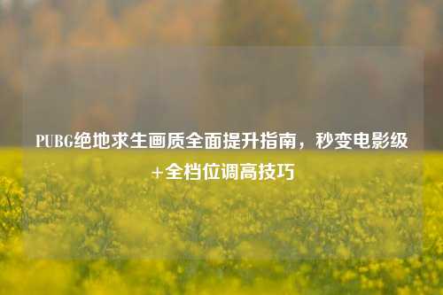 PUBG绝地求生画质全面提升指南,秒变电影级+全档位调高技巧