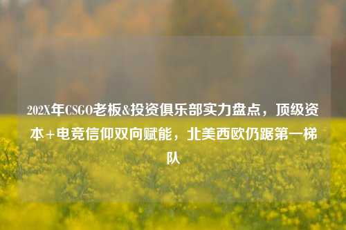 202X年CSGO老板&投资俱乐部实力盘点,顶级资本+电竞信仰双向赋能,北美西欧仍踞第一梯队