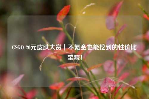 CSGO 20元皮肤大赏｜不氪金也能挖到的性价比宝藏！