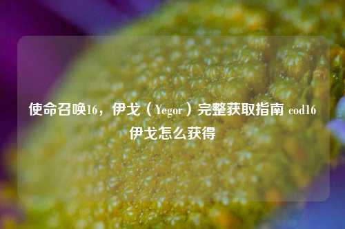 使命召唤16,伊戈(Yegor)完整获取指南 cod16伊戈怎么获得