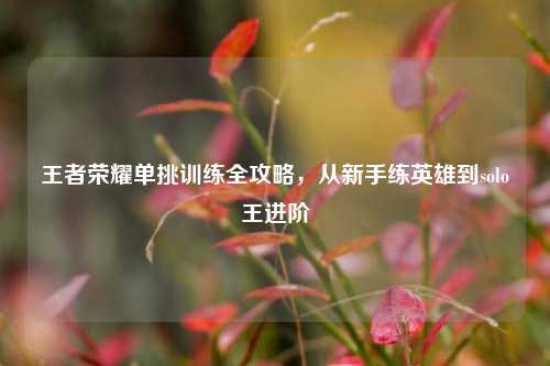 王者荣耀单挑训练全攻略,从新手练英雄到solo王进阶