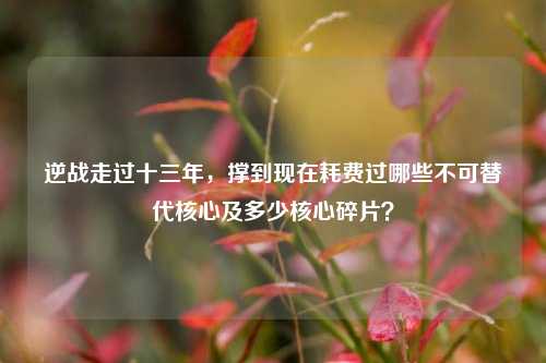 逆战走过十三年,撑到现在耗费过哪些不可替代核心及多少核心碎片?