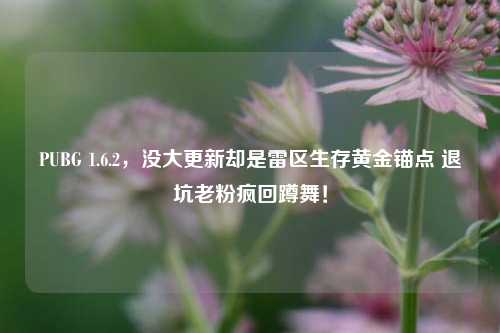 PUBG 1.6.2，没大更新却是雷区生存黄金锚点 退坑老粉疯回蹲舞！