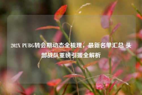 202X PUBG转会期动态全梳理,最新名单汇总 头部战队重磅引援全解析