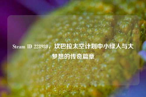 Steam ID 228980，坎巴拉太空计划中小绿人与大梦想的传奇篇章