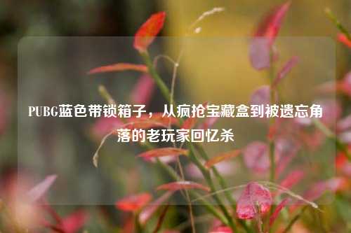 PUBG蓝色带锁箱子,从疯抢宝藏盒到被遗忘角落的老玩家回忆杀