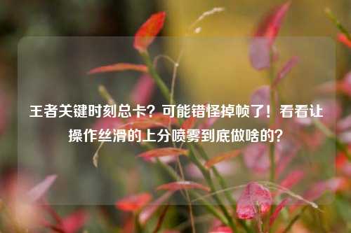 王者关键时刻总卡?可能错怪掉帧了!看看让操作丝滑的上分喷雾到底做啥的?