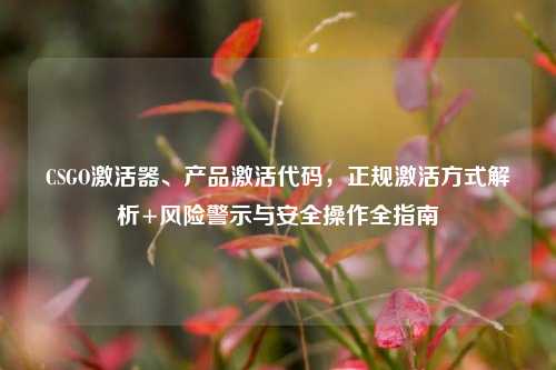 CSGO激活器、产品激活代码,正规激活方式解析+风险警示与安全操作全指南