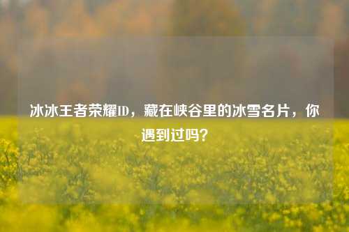 冰冰王者荣耀ID,藏在峡谷里的冰雪名片,你遇到过吗?