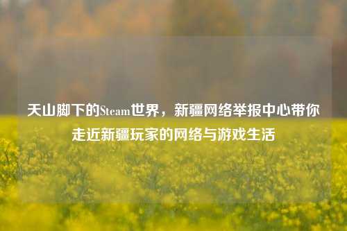 天山脚下的Steam世界,新疆网络举报中心带你走近新疆玩家的网络与游戏生活