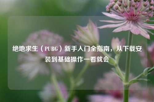 绝地求生(PUBG)新手入门全指南,从下载安装到基础操作一看就会