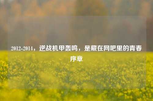 2012-2014,逆战机甲轰鸣,是藏在网吧里的青春序章