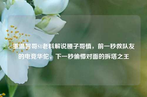 重温智哥S1老料解说腰子哥慎,前一秒救队友的电竞华佗,下一秒偷懵对面的拆塔之王