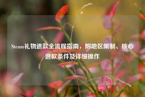 Steam礼物退款全流程指南，附地区限制、核心退款条件及详细操作