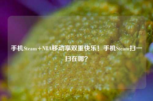 手机Steam+NBA移动享双重快乐!手机Steam扫一扫在哪?