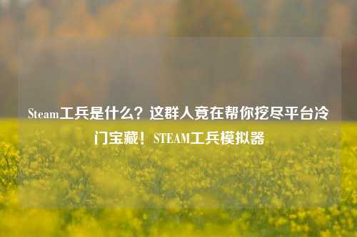 Steam工兵是什么?这群人竟在帮你挖尽平台冷门宝藏!STEAM工兵模拟器
