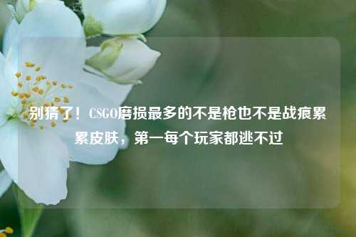 别猜了!CSGO磨损最多的不是枪也不是战痕累累皮肤,第一每个玩家都逃不过