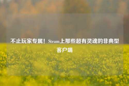 不止玩家专属!Steam上那些超有灵魂的非典型客户端