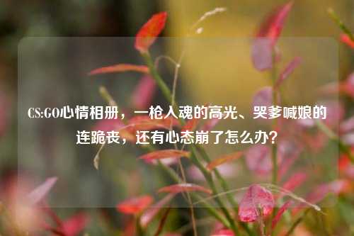CS:GO心情相册,一枪入魂的高光、哭爹喊娘的连跪丧,还有心态崩了怎么办?