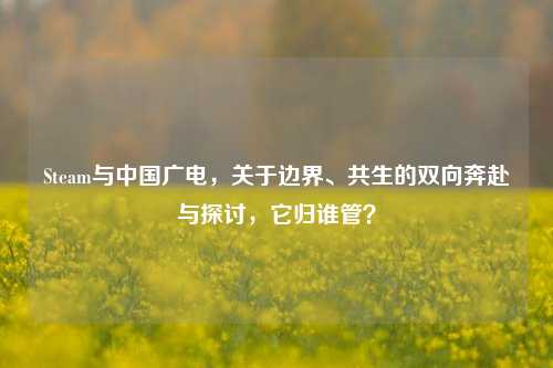 Steam与中国广电,关于边界、共生的双向奔赴与探讨,它归谁管?