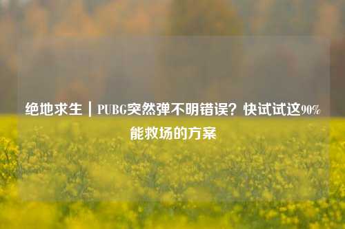 绝地求生|PUBG突然弹不明错误?快试试这90%能救场的方案