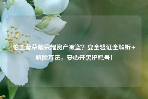 怕王者荣耀荣耀资产被盗？安全验证全解析+解除方法，安心开黑护稳号！