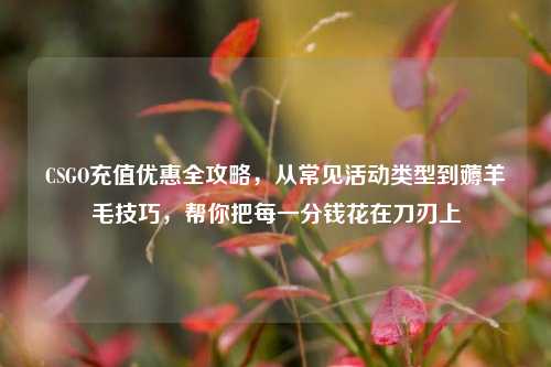 CSGO充值优惠全攻略，从常见活动类型到薅羊毛技巧，帮你把每一分钱花在刀刃上