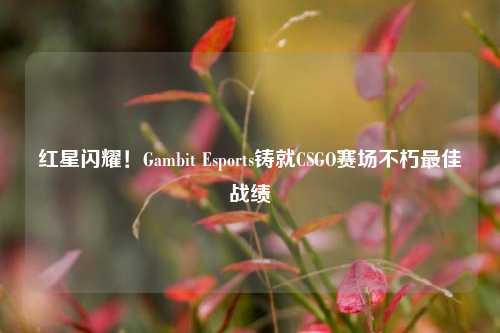 红星闪耀!Gambit Esports铸就CSGO赛场不朽最佳战绩