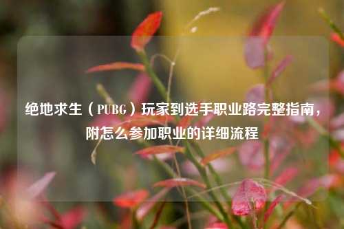 绝地求生（PUBG）玩家到选手职业路完整指南，附怎么参加职业的详细流程