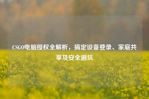 CSGO电脑授权全解析,搞定设备登录、家庭共享及安全避坑