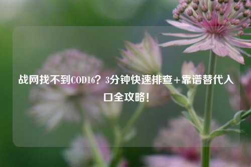 战网找不到COD16？3分钟快速排查+靠谱替代入口全攻略！