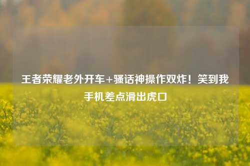 王者荣耀老外开车+骚话神操作双炸!笑到我手机差点滑出虎口