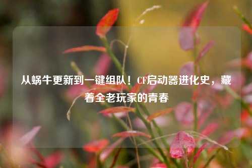 从蜗牛更新到一键组队!CF启动器进化史,藏着全老玩家的青春