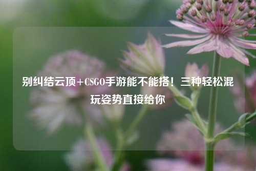 别纠结云顶+CSGO手游能不能搭!三种轻松混玩姿势直接给你