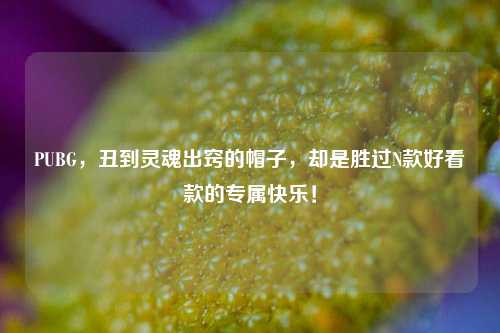 PUBG,丑到灵魂出窍的帽子,却是胜过N款好看款的专属快乐!