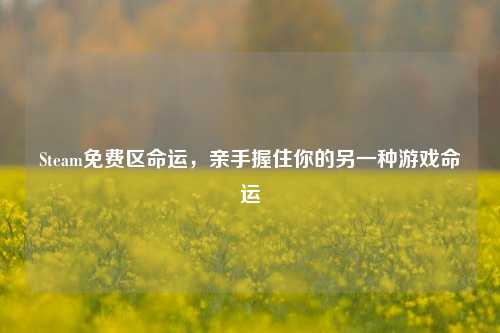 Steam免费区命运,亲手握住你的另一种游戏命运