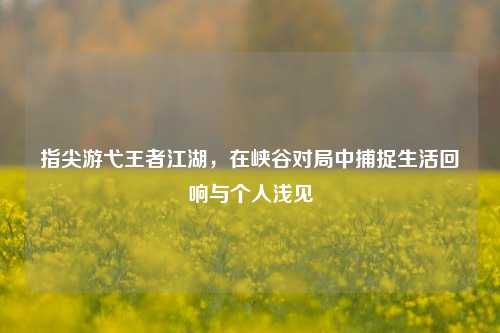 指尖游弋王者江湖,在峡谷对局中捕捉生活回响与个人浅见