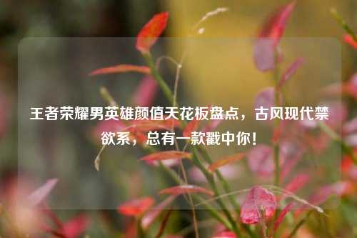 王者荣耀男英雄颜值天花板盘点，古风现代禁欲系，总有一款戳中你！