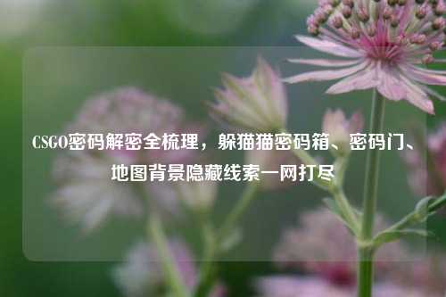 CSGO密码解密全梳理，躲猫猫密码箱、密码门、地图背景隐藏线索一网打尽