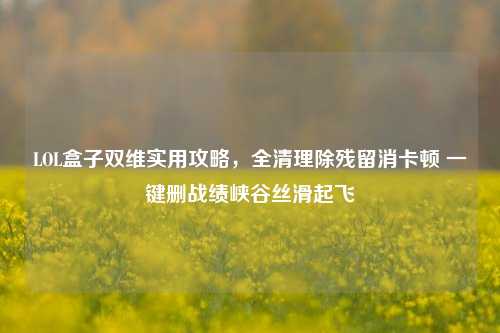 LOL盒子双维实用攻略,全清理除残留消卡顿 一键删战绩峡谷丝滑起飞