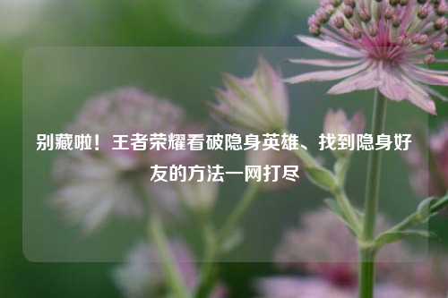 别藏啦!王者荣耀看破隐身英雄、找到隐身好友的方法一网打尽